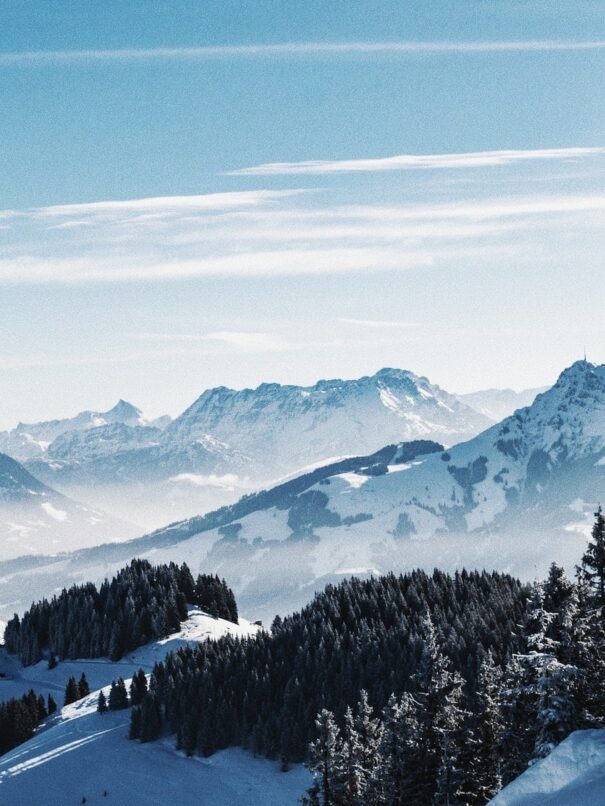 midas-hofstra-P3nbeMnXkrM-unsplash