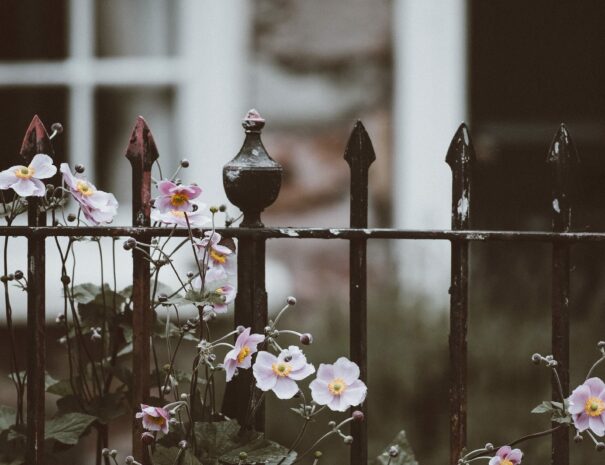 annie-spratt-M5ONrYjTP74-unsplash