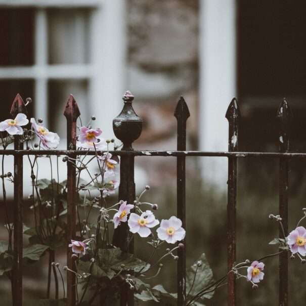 annie-spratt-M5ONrYjTP74-unsplash